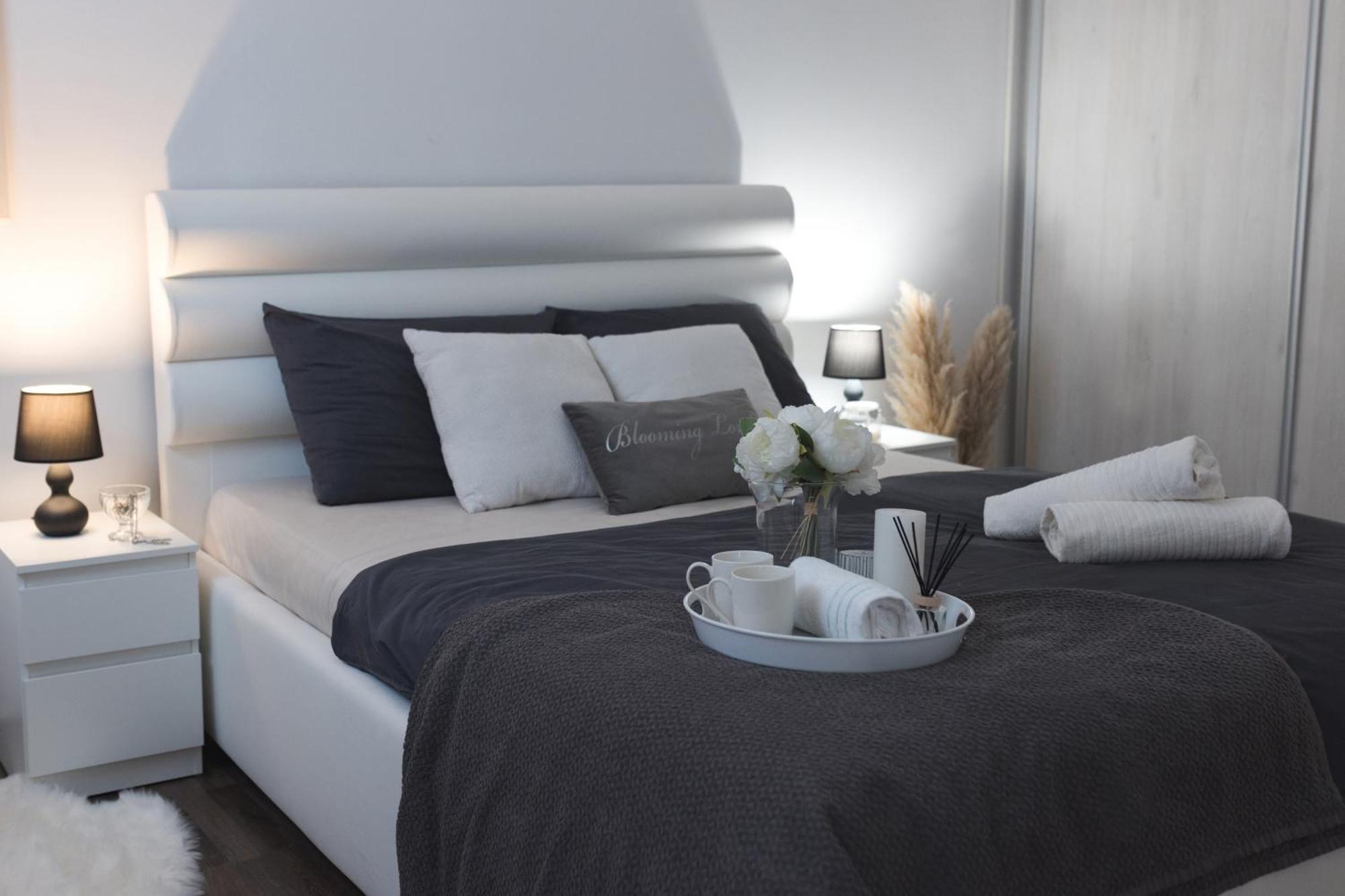 Apartments Dijana 자그레브 외부 사진