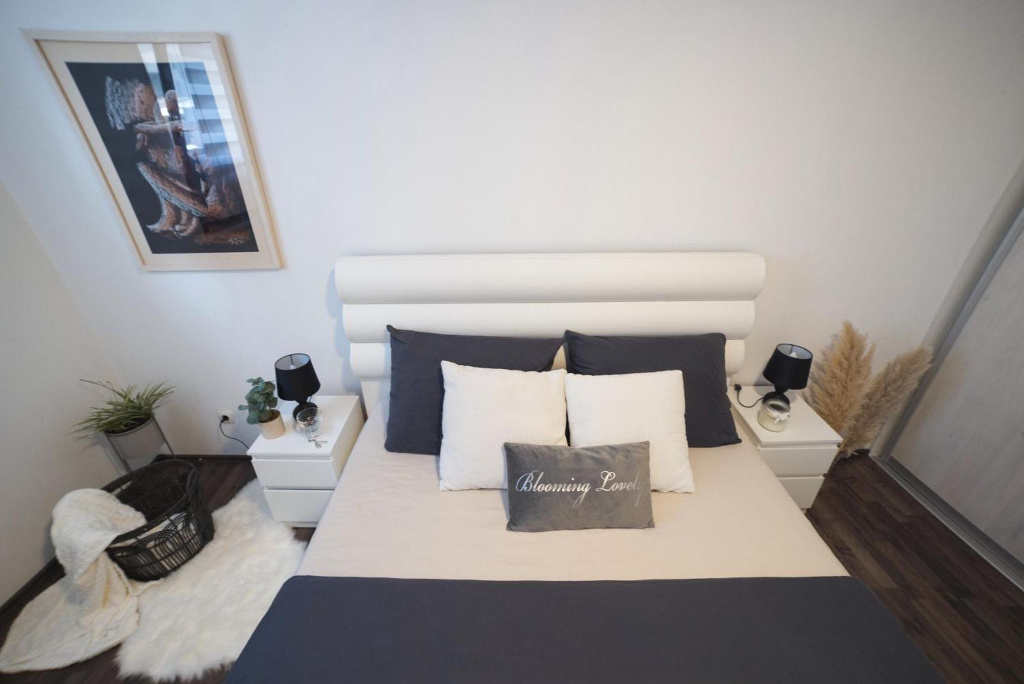 Apartments Dijana 자그레브 외부 사진